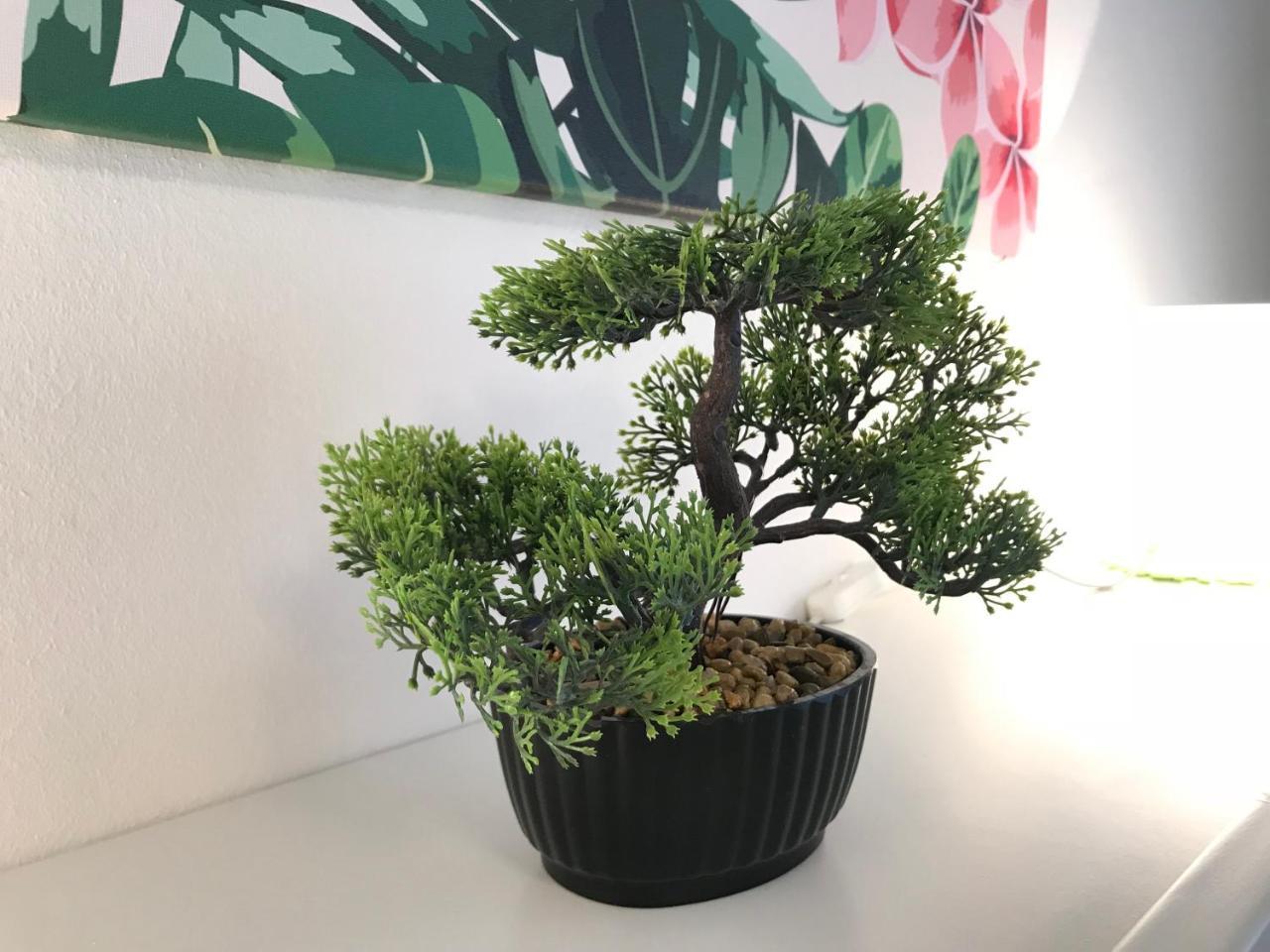 פץ' Rosmarinus Apartman מראה חיצוני תמונה